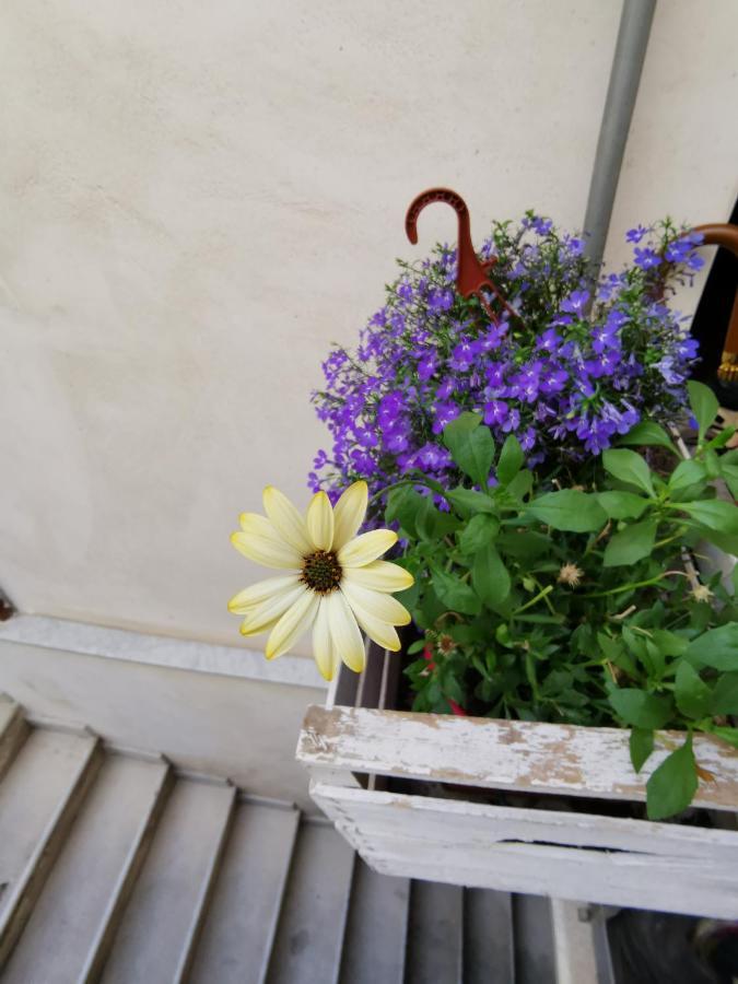 Apartamento Casuzzamia Palermo Exterior foto